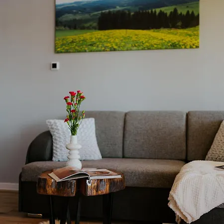 Wichrowka Z Widokiem Na Gory 木屋 Dursztyn