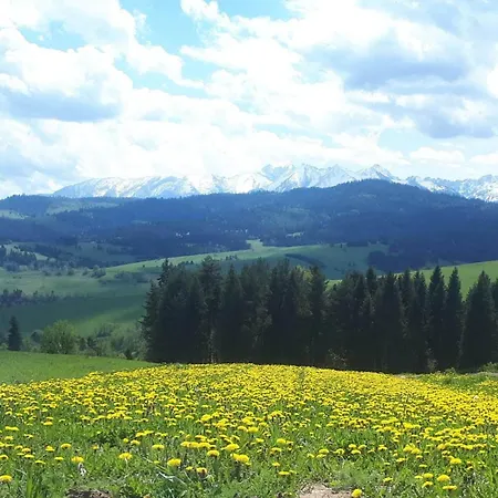 Wichrowka Z Widokiem Na Gory Chalet Dursztyn