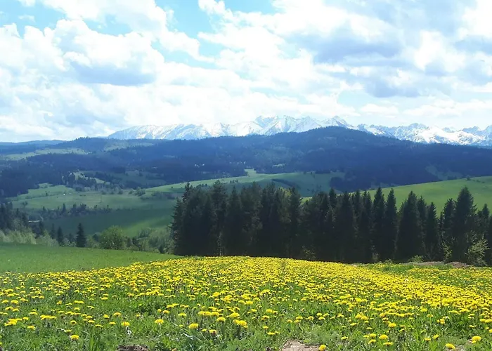 Wichrowka Z Widokiem Na Gory Chalet Dursztyn